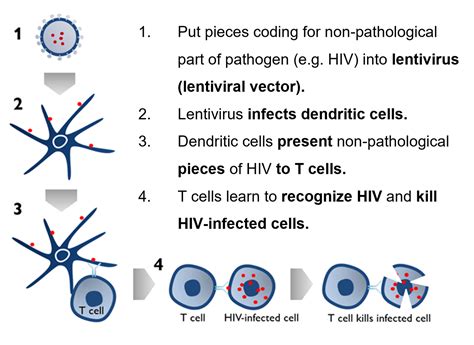 lentiviral vectors treatment.